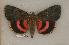  ( - 051-32-310799-WI)  @13 [ ] Copyright (2008) Unspecified Research Collection of Robert J. Borth