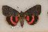  ( - 052-32-110802-IN)  @14 [ ] Unspecified (default): All Rights Reserved  Unspecified Unspecified