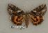  ( - 083-63-070505-FL)  @13 [ ] Copyright (2008) Unspecified Research Collection of Robert J. Borth