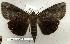  ( - 129-85-130802-IN)  @13 [ ] Unspecified (default): All Rights Reserved  Unspecified Unspecified