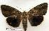  ( - 131-87-310503-TX)  @14 [ ] Copyright (2008) Unspecified Research Collection of Robert J. Borth