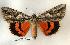  ( - 172-06-180703-UT)  @13 [ ] Unspecified (default): All Rights Reserved  Unspecified Unspecified