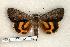  ( - 220-47-110702-KY)  @14 [ ] Copyright (2008) Unspecified Research Collection of Robert J. Borth