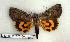  ( - 263-69-110602-OK)  @14 [ ] Copyright (2008) Unspecified Research Collection of Robert J. Borth