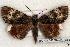  ( - 480-00-082387-JA)  @14 [ ] Copyright (2008) Unspecified Research Collection of Robert J. Borth
