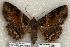  ( - 388-COI-06)  @13 [ ] Copyright (2008) Unspecified Research Collection of Robert J. Borth