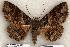  ( - 389-COI-06)  @14 [ ] Copyright (2008) Unspecified Research Collection of Robert J. Borth