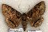  ( - 393-COI-06)  @13 [ ] Copyright (2008) Unspecified Research Collection of Robert J. Borth