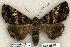  ( - 394-COI-06)  @14 [ ] Copyright (2008) Unspecified Research Collection of Robert J. Borth
