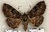  ( - 396-COI-06)  @14 [ ] Copyright (2008) Unspecified Research Collection of Robert J. Borth