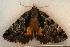  ( - 429-8721-160504-TX)  @12 [ ] Copyright (2008) Unspecified Research Collection of Robert J. Borth