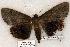  ( - 469-9896-160802-IN)  @13 [ ] Copyright (2008) Unspecified Research Collection of Robert J. Borth