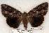  ( - 487-8787-030799-LA)  @14 [ ] Unspecified (default): All Rights Reserved  Unspecified Unspecified