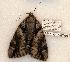  ( - 501-8792-150802--IN)  @13 [ ] Copyright (2008) Unspecified Research Collection of Robert J. Borth