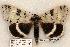  ( - 516-8803-060998--ID)  @15 [ ] Copyright (2008) Unspecified Research Collection of Robert J. Borth