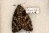  ( - 518-8801-110703-UT)  @12 [ ] Copyright (2008) Unspecified Research Collection of Robert J. Borth