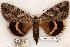  ( - 522-8802-100802-KY)  @15 [ ] Copyright (2008) Unspecified Research Collection of Robert J. Borth