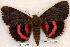  ( - 553-8832-310799-WI)  @15 [ ] Copyright (2008) Unspecified Research Collection of Robert J. Borth