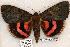  ( - 554-8832-310799-WI)  @15 [ ] Copyright (2008) Unspecified Research Collection of Robert J. Borth
