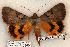  ( - 564-8841-080602-OK)  @13 [ ] Copyright (2008) Unspecified Research Collection of Robert J. Borth