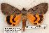  ( - 566-8841-070602-OK)  @13 [ ] Copyright (2008) Unspecified Research Collection of Robert J. Borth