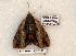  ( - 593-8857-150506-FL)  @13 [ ] Copyright (2008) Unspecified Research Collection of Robert J. Borth