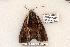  ( - 594-8857-090506-FL)  @13 [ ] Copyright (2008) Unspecified Research Collection of Robert J. Borth