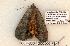  ( - 607-8864-200506-FL)  @12 [ ] Copyright (2008) Unspecified Research Collection of Robert J. Borth