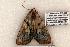  ( - 611-8869-300506-FL)  @13 [ ] Copyright (2008) Unspecified Research Collection of Robert J. Borth