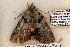  ( - 612-8869-300506-FL)  @13 [ ] Copyright (2008) Unspecified Research Collection of Robert J. Borth