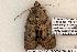  ( - 625-8869-300506-FL)  @13 [ ] Copyright (2008) Unspecified Research Collection of Robert J. Borth