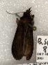  ( - 651-8448-110702-KY)  @13 [ ] Copyright (2008) Unspecified Research Collection of Robert J. Borth