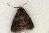  ( - 658-8699-270504-TX)  @13 [ ] Copyright (2008) Unspecified Research Collection of Robert J. Borth