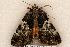  ( - 430-8721-090802-KY)  @13 [ ] Copyright (2008) Unspecified Research Collection of Robert J. Borth
