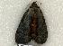  ( - 414-COI-06)  @12 [ ] Unspecified (default): All Rights Reserved  Unspecified Unspecified