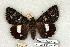  ( - 659-0000-000000-JA)  @13 [ ] Copyright (2008) Unspecified Research Collection of Robert J. Borth