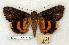  ( - 705-8835-220548-TX)  @14 [ ] Copyright (2008) Unspecified Research Collection of Robert J. Borth