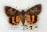  ( - 708-8835-010741-TX)  @14 [ ] Copyright (2008) Unspecified Research Collection of Robert J. Borth
