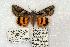  ( - 711-8861-090679-CA)  @14 [ ] Copyright (2008) Unspecified Research Collection of Robert J. Borth