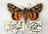  ( - 712-8861-180677-CA)  @14 [ ] Copyright (2008) Unspecified Research Collection of Robert J. Borth