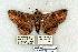  ( - 714-8865-171173-FL)  @13 [ ] Copyright (2008) Unspecified Research Collection of Robert J. Borth