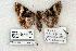  ( - 724-8598-280795-WI)  @13 [ ] Copyright (2008) Unspecified Research Collection of Robert J. Borth
