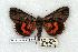  ( - 744-8857-260789-NM)  @15 [ ] Copyright (2008) Unspecified Research Collection of Robert J. Borth