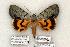  ( - 761-020506-FL)  @14 [ ] Copyright (2008) Unspecified Research Collection of Robert J. Borth