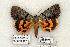  ( - 763-020506-FL)  @14 [ ] Copyright (2008) Unspecified Research Collection of Robert J. Borth