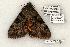  ( - 766-080603-TX)  @14 [ ] Copyright (2008) Unspecified Research Collection of Robert J. Borth