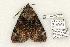 ( - 767-080603-TX)  @14 [ ] Copyright (2008) Unspecified Research Collection of Robert J. Borth
