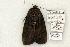  ( - 776-150802-IN)  @13 [ ] Copyright (2008) Unspecified Research Collection of Robert J. Borth