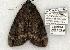  ( - 786-090802-KY)  @14 [ ] Copyright (2008) Unspecified Research Collection of Robert J. Borth