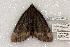  ( - 789-110802-IN)  @13 [ ] Copyright (2008) Unspecified Research Collection of Robert J. Borth